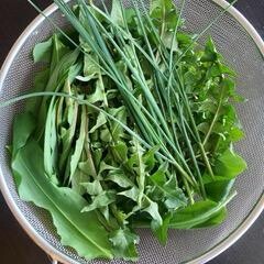 Perma e cucina